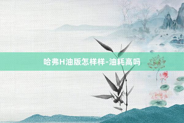 哈弗H油版怎样样-油耗高吗